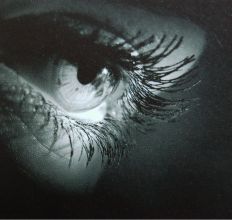 Evolution 039